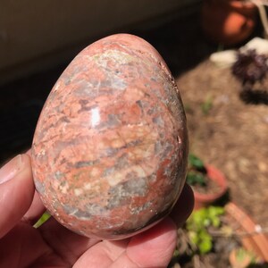 May include: A smooth, polished, pink and white egg-shaped stone with swirling patterns.
