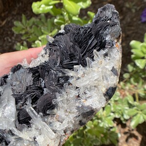 XL Rare Stunning Specularite Hematite Crystal Quartz Cluster, Flower Hematite Inclusions & tiny Quartz points, Metaphysical,Reiki