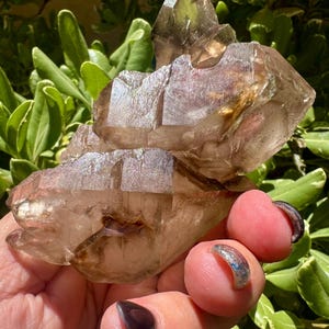 Rare L Raw  Natural Smoky Quartz Elestial Crystal Point & Cluster with rutile, Alligator Quartz, Jacare Quartz Skeletal Quartz ,EL195