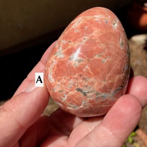 May include: A smooth, red and white, polished, egg-shaped stone with a mottled pattern. The stone is being held in a hand. The letter "A" is written on a finger.