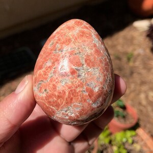 May include: A red and white speckled egg-shaped stone. The stone is smooth and polished.