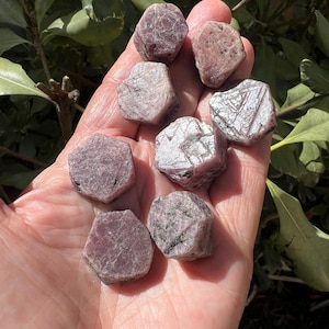 May include: A collection of rough-cut ruby gemstones in varying shades of pink and red. The gemstones are held in an open hand, with green foliage in the background. The gemstones have a natural, unpolished appearance.