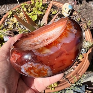 L Carnelian Agate  Shallow Bowl, Root & Sacral Chakra, Metaphysical Healing Stone, Sacred GeometryCAB575
