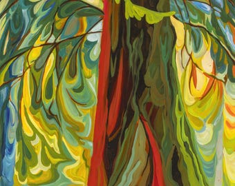 Red Cedar Fine Art Paper Prints, Giclee, Vancouver Island BC, Canadian Artist, Forest Landscape