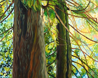 Two Cedars Canvas Print, Giclee, Tree Artwork, Forest Landscape, Vancouver Island BC, Canadian Artist