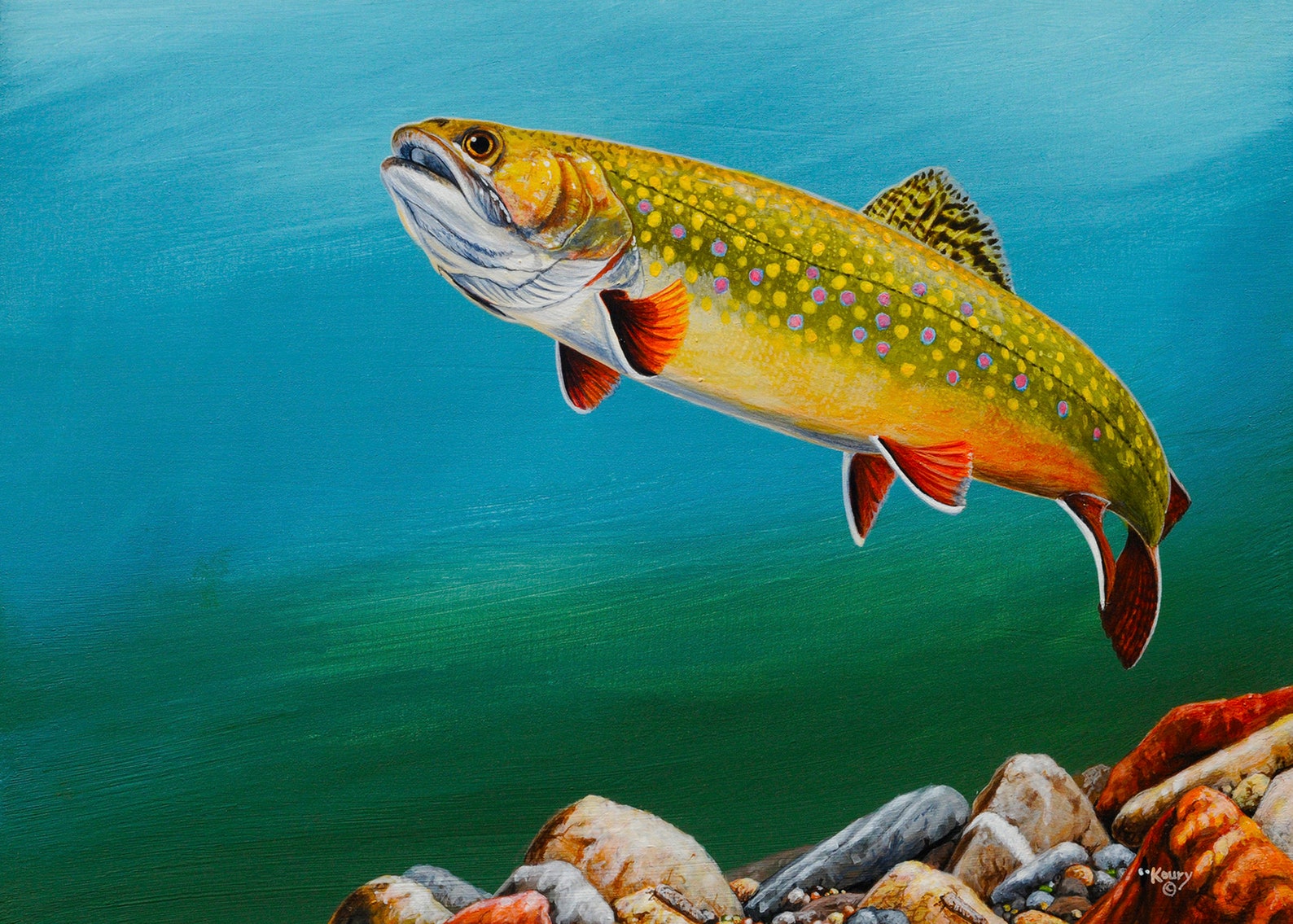 BROOKIE RISE I Brook Trout Painting 5x7 Canvas Giclee Etsy