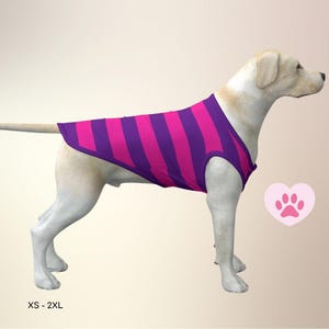 Cheshire Cat Dog Costume: Alice in Wonderland Pet Coat