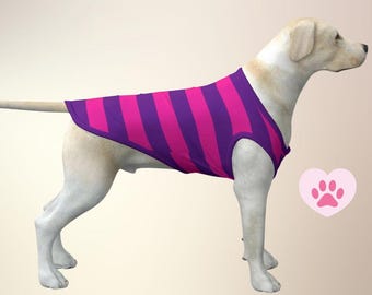 Alice in Wonderland Cheshire Cat Dog & Cat Coat, Pet Accessories, Cat Gifts for Cats, Dog Halloween Costume, Cat Halloween Costume, ++Y