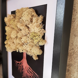 Moss decor &#39;&#39;WINTER&#39;, Tree of Life with Scandinavian moss, Tree of moss,  Moss decor, Reindeer moss, Moss art picture 30x40 cm