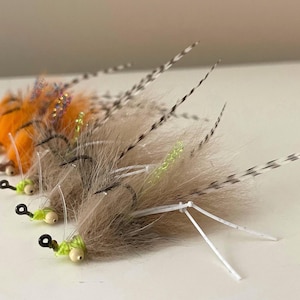 Shrimp fly six pack for saltwater fly fishing redfish, speckled trout, snook, tarpon, bonefish, permit, sheepshead, pompano