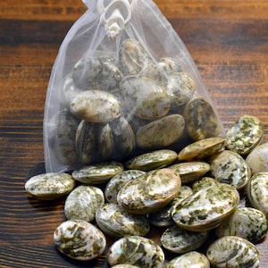 May include: A bag of iridescent green and white abalone shells. The shells are oval shaped and have a smooth, polished finish.