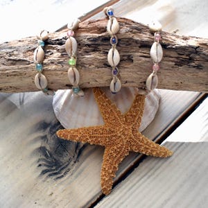 May include: Four shell and bead bracelets on a piece of driftwood with a starfish on a shell below.