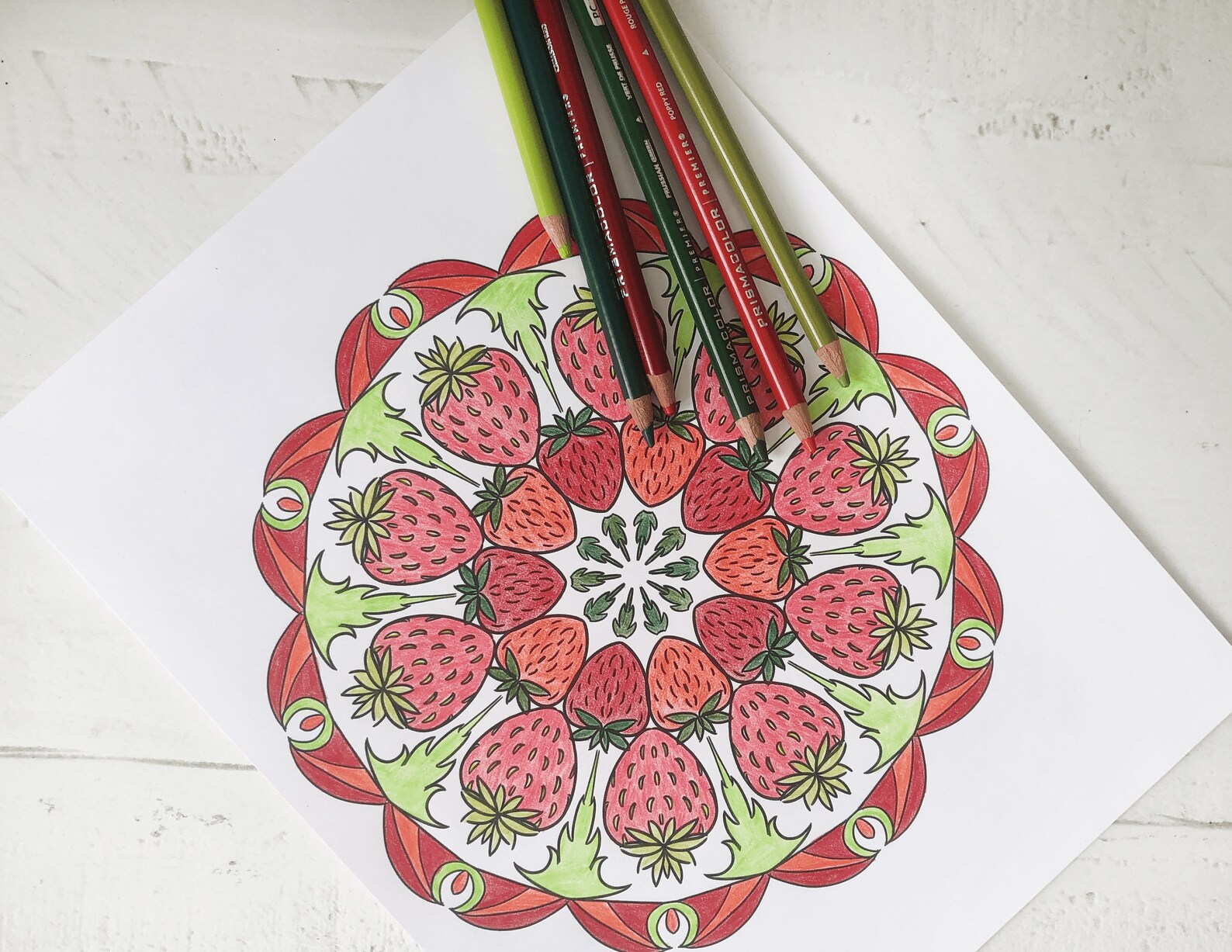 15 Fruit Mandala Coloring Pages PDF Download Printable Etsy