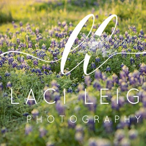 Wildflower, Bluebonnet, Spring backdrop, Summer Digital Backdrop, Digital Background, Photoshop
