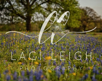 Wildflower Backdrop, Bluebonnet Backdrop, Spring backdrop, Summer Digital Backdrop, Digital Background, Photoshop