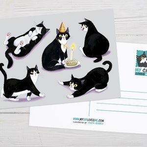 Tuxedo Cat Art, Carte postale de chat, Cadeau d’amant de chat, Chat noir et blanc, Carte postale d’anniversaire