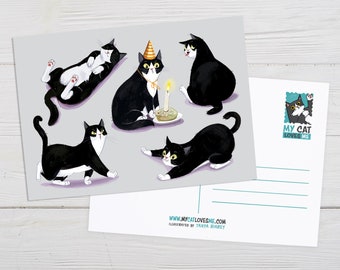 Tuxedo Cat Art, Cat Postcard, Cat Lover Gift, Black And White Cat, Birthday Postcard