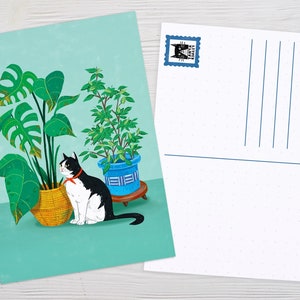 Carte postale dessinée à la main, Carte postale d’art de chat, Cadeau d’amoureux de chat, Maman de chat, Art de chat drôle, Dessin de chat Tuxedo