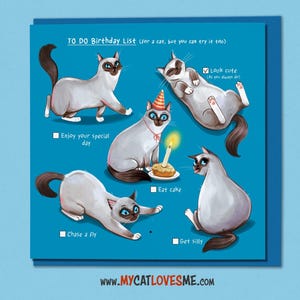 Ragdoll Birthday Card, Funny Cat Birthday Card, Cute Siamese Cat Illustration