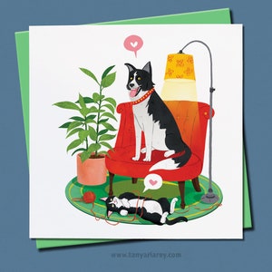 Carte d'anniversaire chat et chien, chat smoking, chien de berger, carte d'amant Colley, jolie carte, carte d'anniversaire illustrée, carte chien, chat et chien