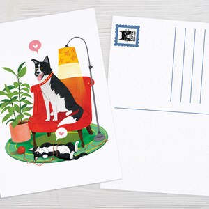 Cartes postales d’art, Chat Tuxedo, Chien de berger, Border Collie, Portrait d’animal de compagnie, Chien de troupeau, Art du chat, Impression d’art, Décoration murale