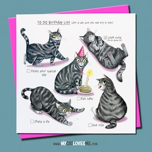 Humorous Birthday Card, Silver Tabby, Grey Cat, Quirky & Funny  Card For Friend, Mum, Girlfriend, Wife