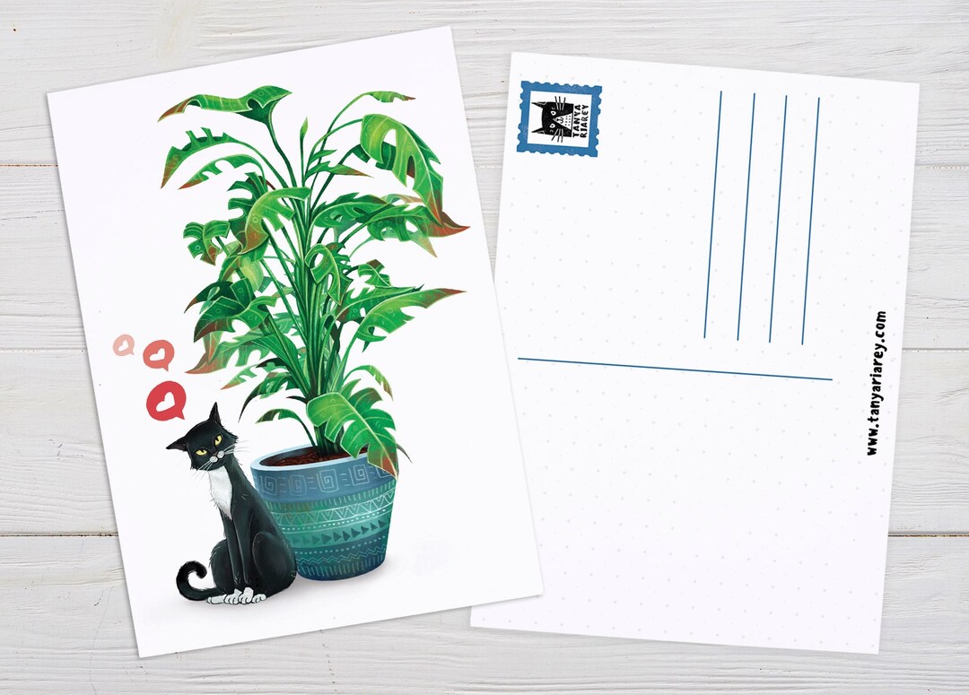 Cat Postcard, Cat Art Print, Room Decor, Tuxedo Cat & Plant ...