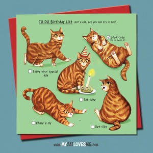 Carte d'anniversaire drôle de chat au gingembre, carte d'amant de chat, carte d'anniversaire de chat orange