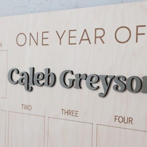 One Year of Photo Board: 12 Month Milestone Sign First Birthday