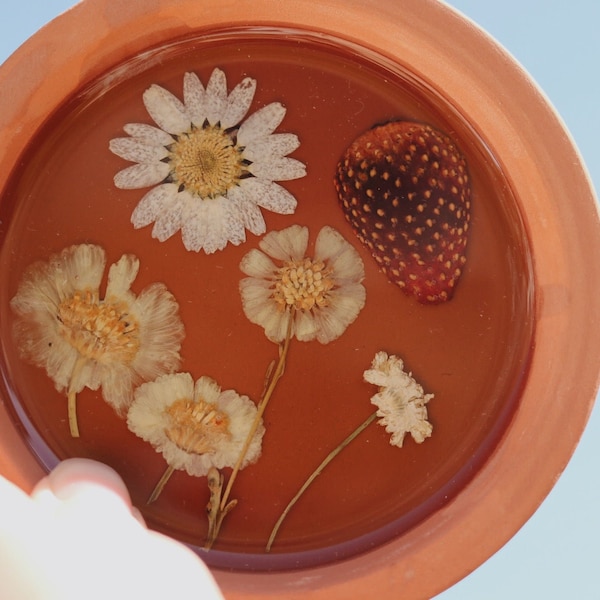 Seconds / Terracotta Resin Coaster / Home Decor / Pressed Flowers / Seconds