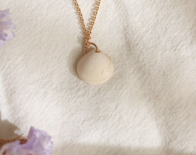 Seashell Necklace / Jewelry / Dainty Gold Necklace