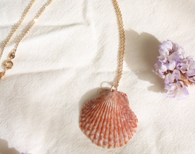 Seashell Necklace / Jewelry / Dainty Gold Necklace