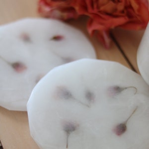 Rosebud Coasters