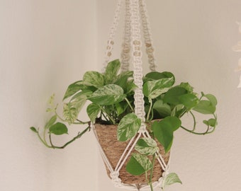 Whipped Cream Plant Hanger