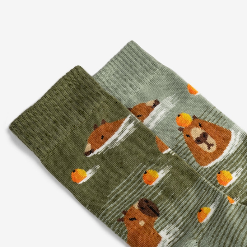 Capybara Chaussettes colorées pour hommes et femmes Cadeau pour elle et lui Soutenez la résistance ukrainienne image 2