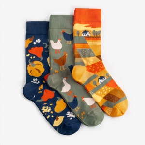 Harvest Socks 3-Pack | Colorful socks mens womens | Gift for him & her