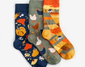 Harvest Socks 3-Pack | Colorful socks mens womens | Gift for him & her