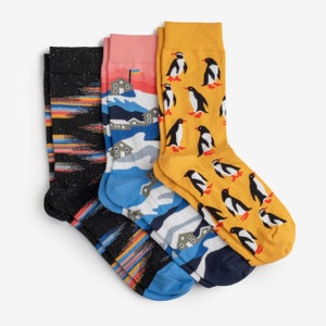 Vernadsky Socks 3-Pack | Colorful socks mens womens | Gift for him & her |  Ukrainian Antarctic Station