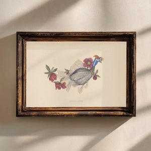 ZoOcean: [Guinea Foul - Goldfish] Watercolor Art Print