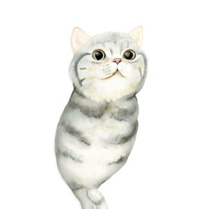 ZoOcean: [Kat-Zeepaardje] Aquarel Art Print