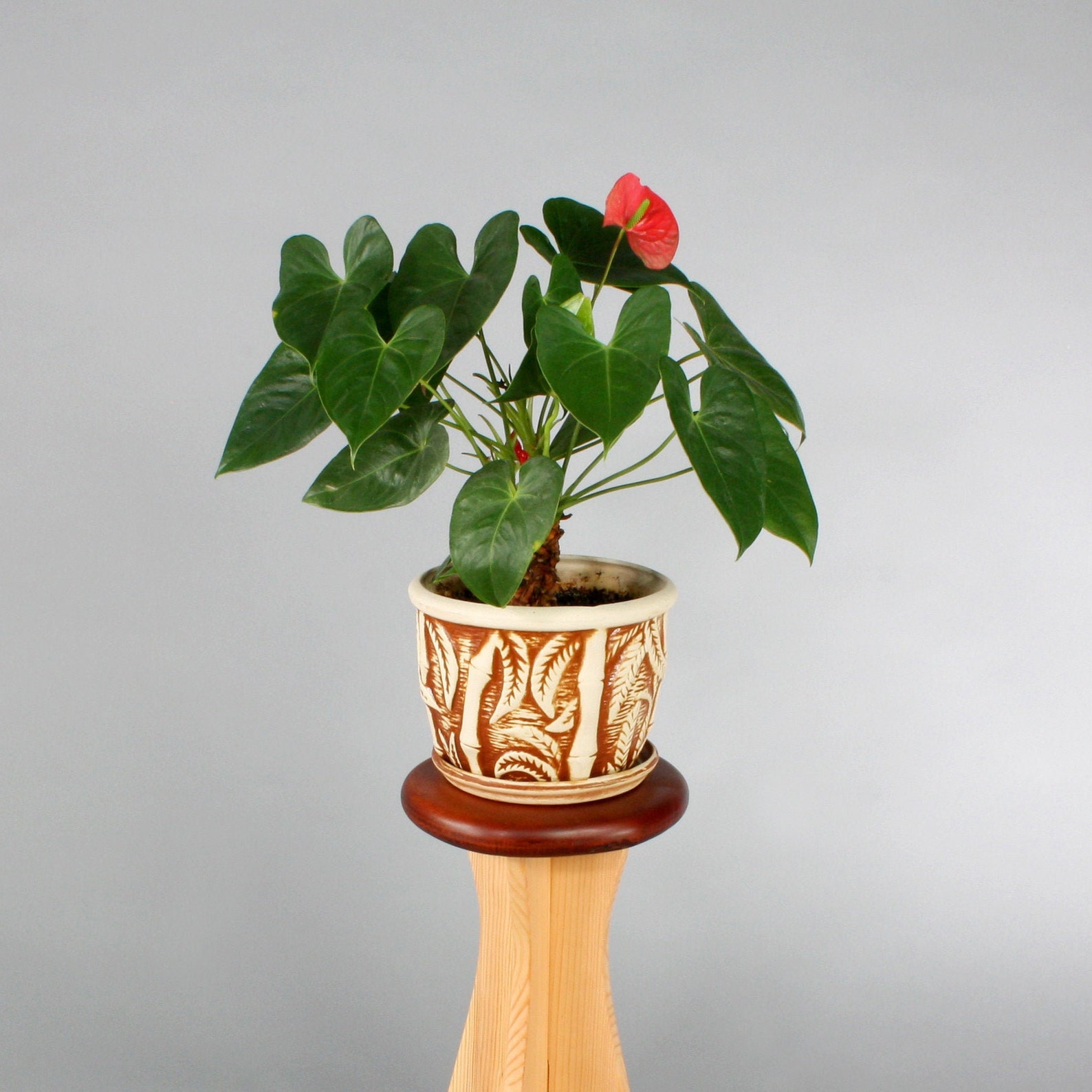 Wooden Planter Easy Assemble Plant Stand Plant Stand Mid | Etsy