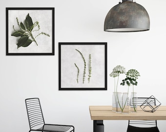 Plant Print Wall Art, Leave Print, Greenery Print, Foliage Print, Botanical Print, Square Print Set, Print Set of 2, Nature Wall Art Print