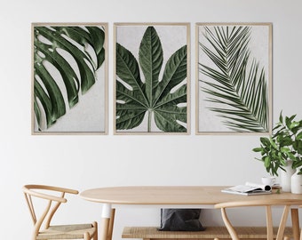 May include: Three framed botanical prints featuring close-up images of green leaves. The prints showcase a Monstera leaf, a large, multi-lobed leaf, and a palm frond. The frames have a light wood finish, and the background is a neutral color.