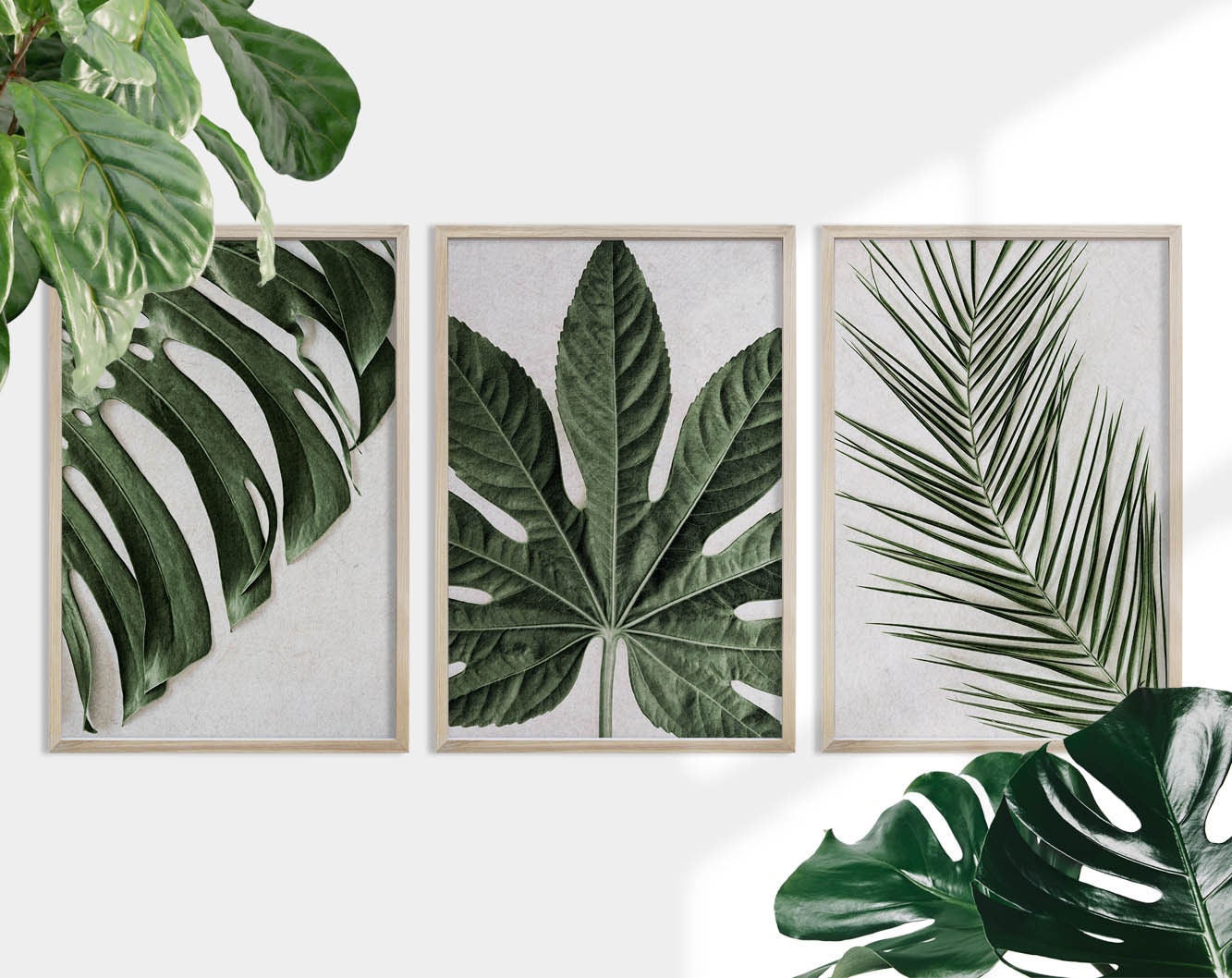 Set of 3 Tropical Leaves Wall Art Prints, Palm Leaf, Monstera Deliciosa ...