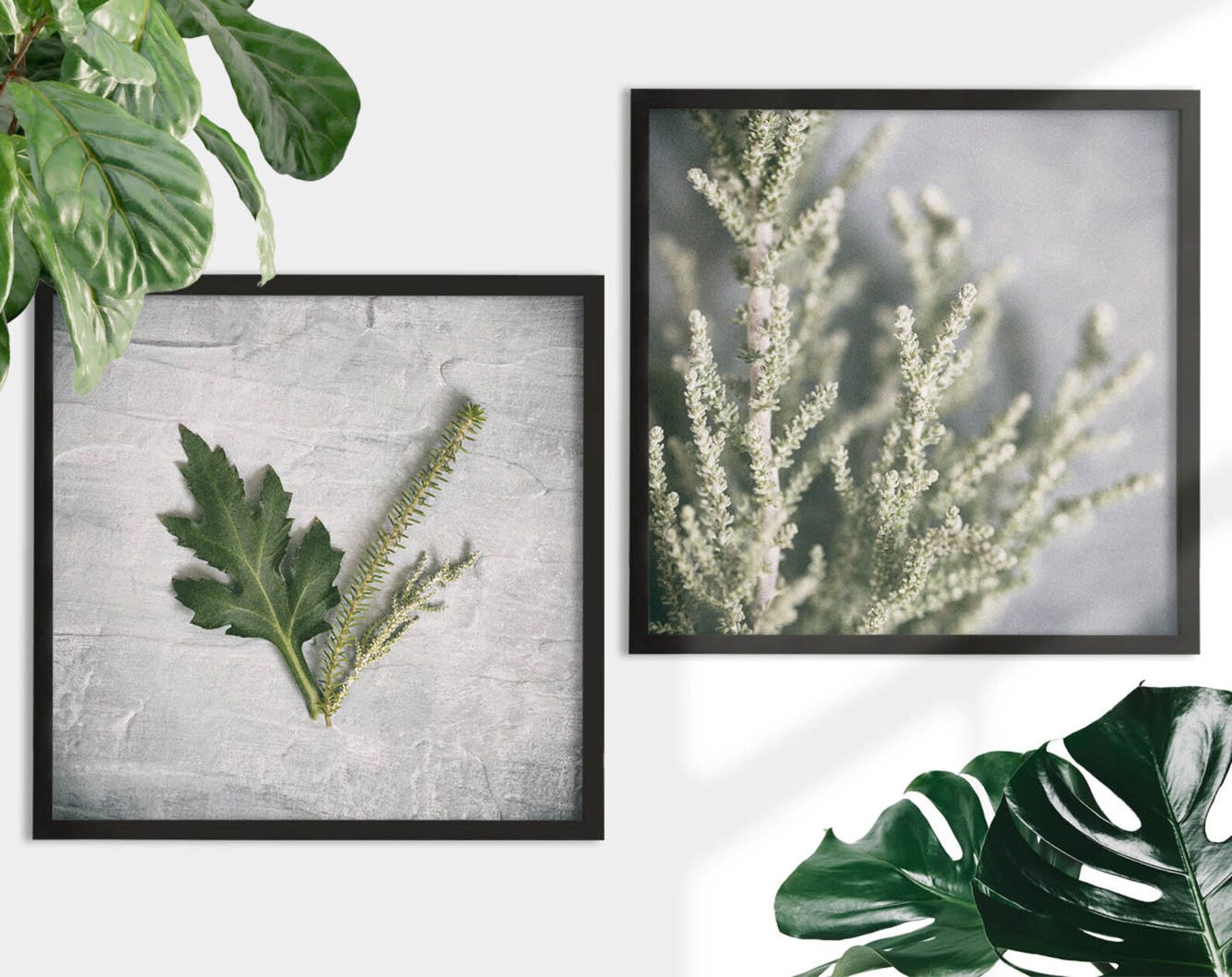 Leaf Print Plant Prints Wall Art Greenery Wall Art Greenery Etsy