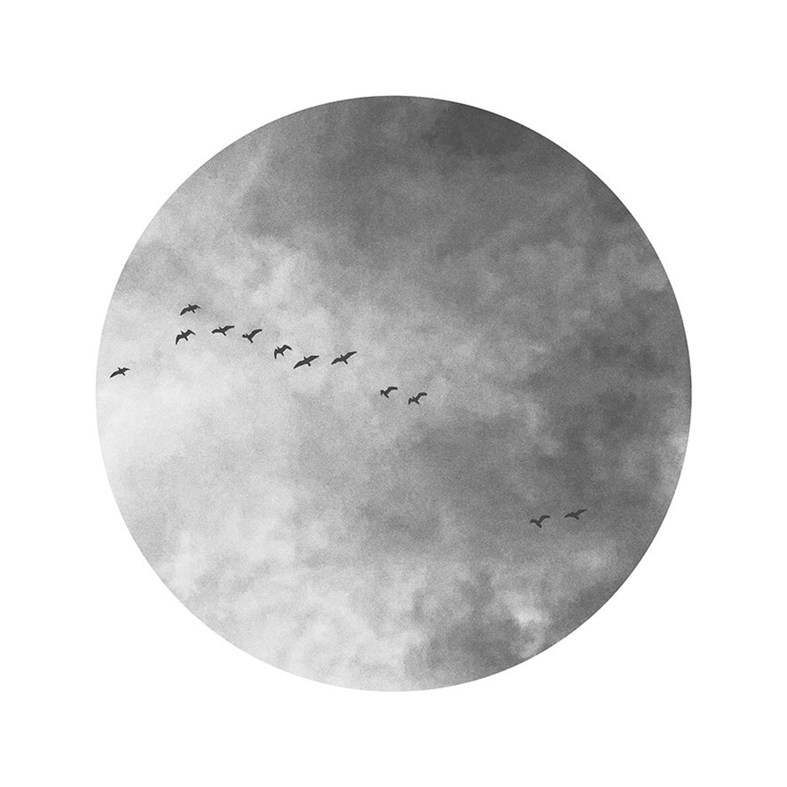 Black and White Birds Print Birds Wall Art Round Wall Art Etsy