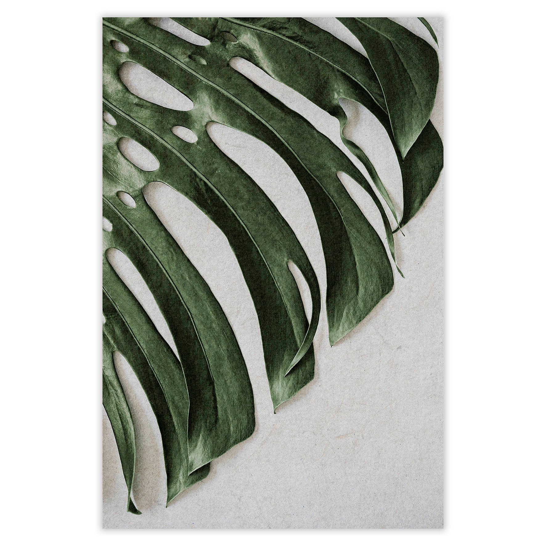 Set of 3 Tropical Leaves Wall Art Prints, Palm Leaf, Monstera Deliciosa ...