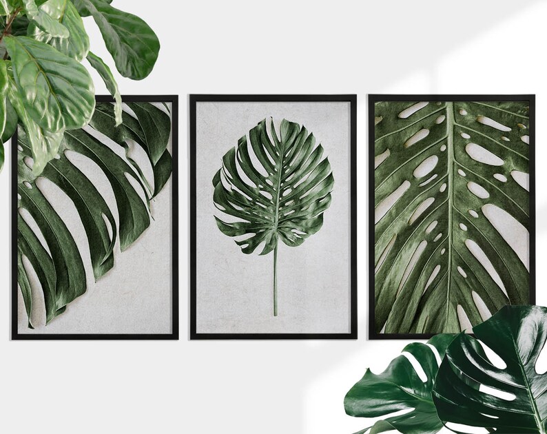 Set of 3 Monstera Deliciosa Wall Art Prints Tropical Leaves - Etsy