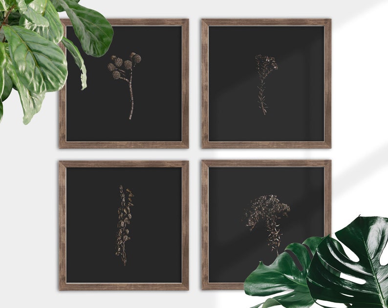 Black & Gold Wall Art Photography Print Botanical, Flowers, Floral, Interior, Decor, Bedroom, Gift, Home, Moody, Film, Fine Art, Nature image 2
