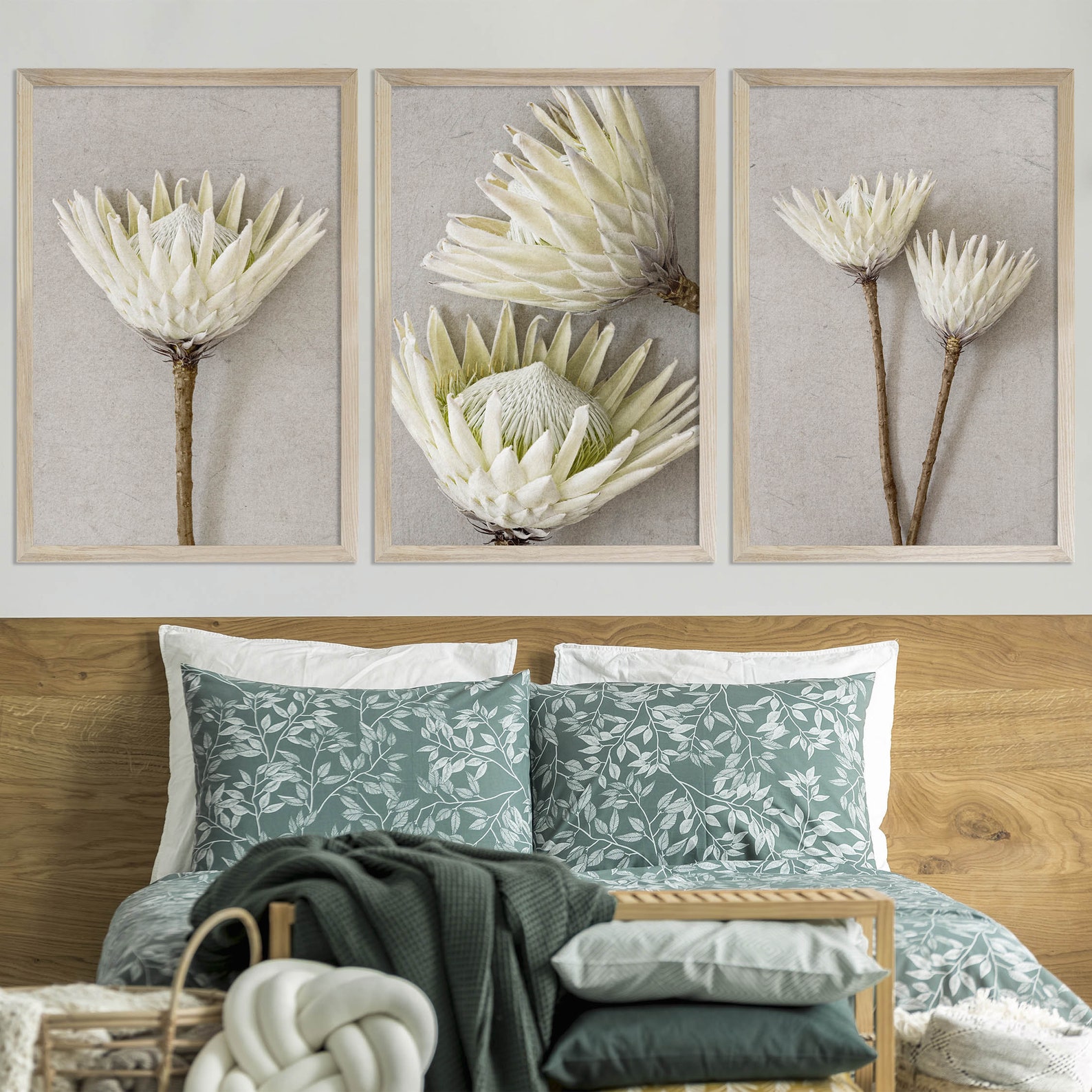White Protea Flower Print Set of 3, Protea Wall Art, Protea Print